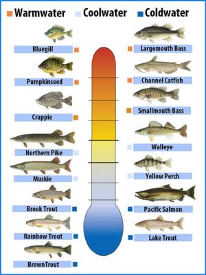 什麼氣溫 可以釣魚